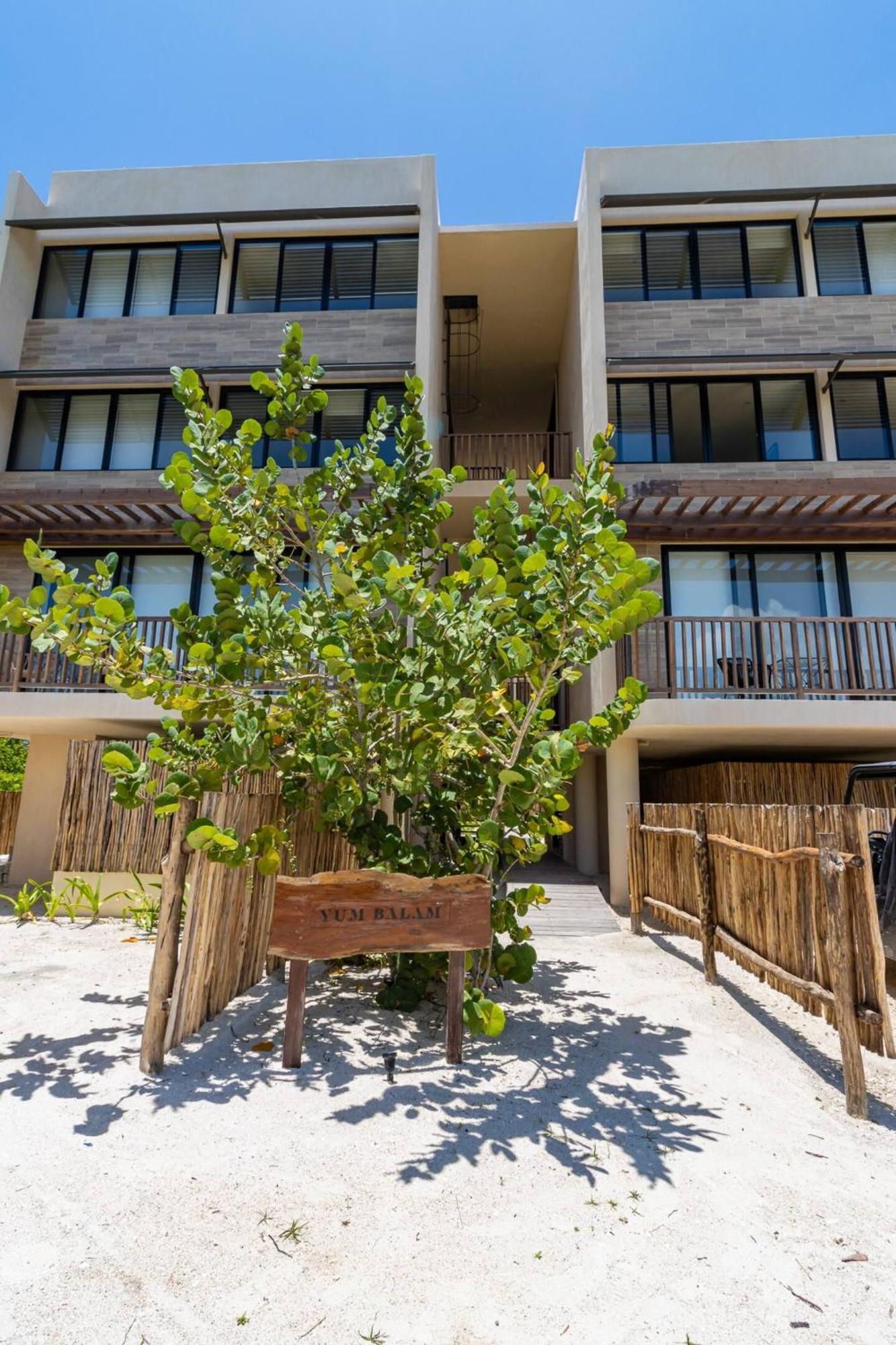 Hotel Pool View Loft Steps From The Ocean In Punta Cocos - C101 Isla Holbox Exterior foto